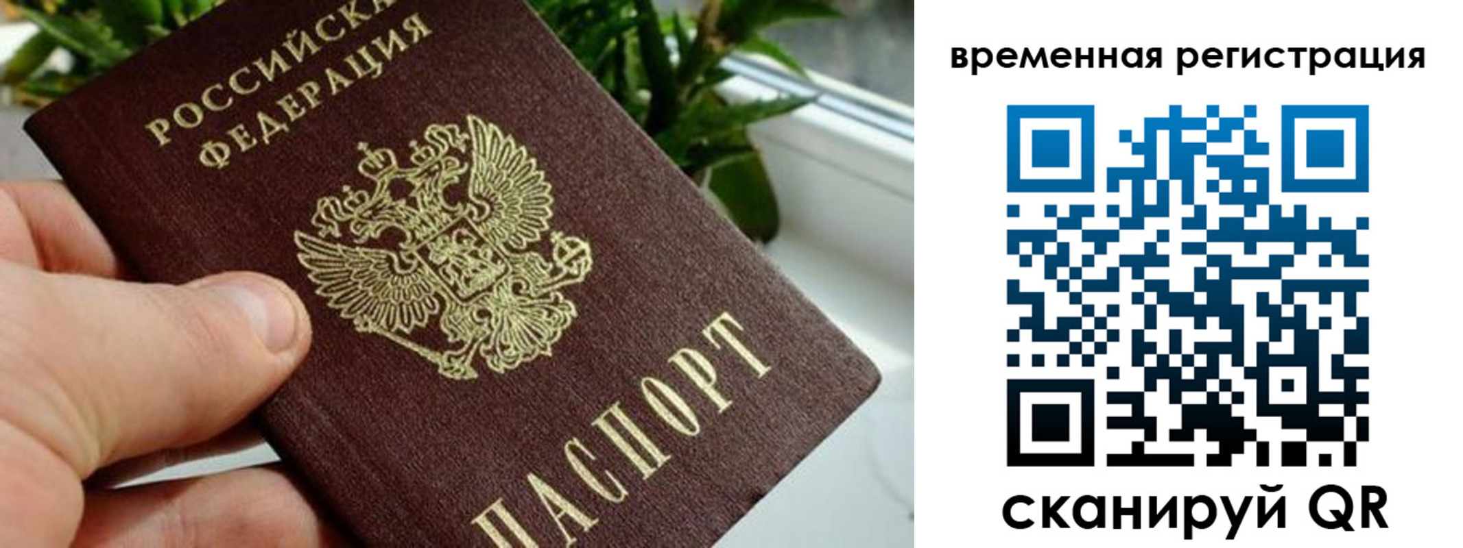 прописка поиск в Кондрово